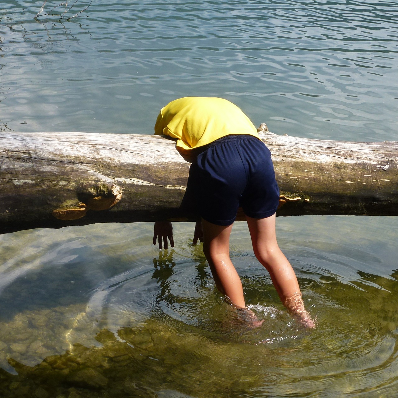 Tired person hanging over a log